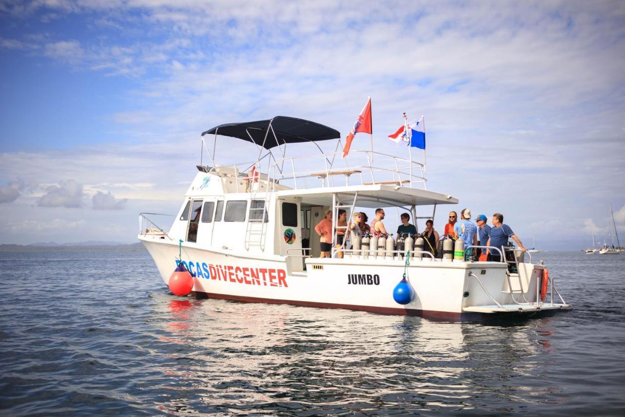 Divers Paradise Boutique Hotel Bocas del Toro Zewnętrze zdjęcie