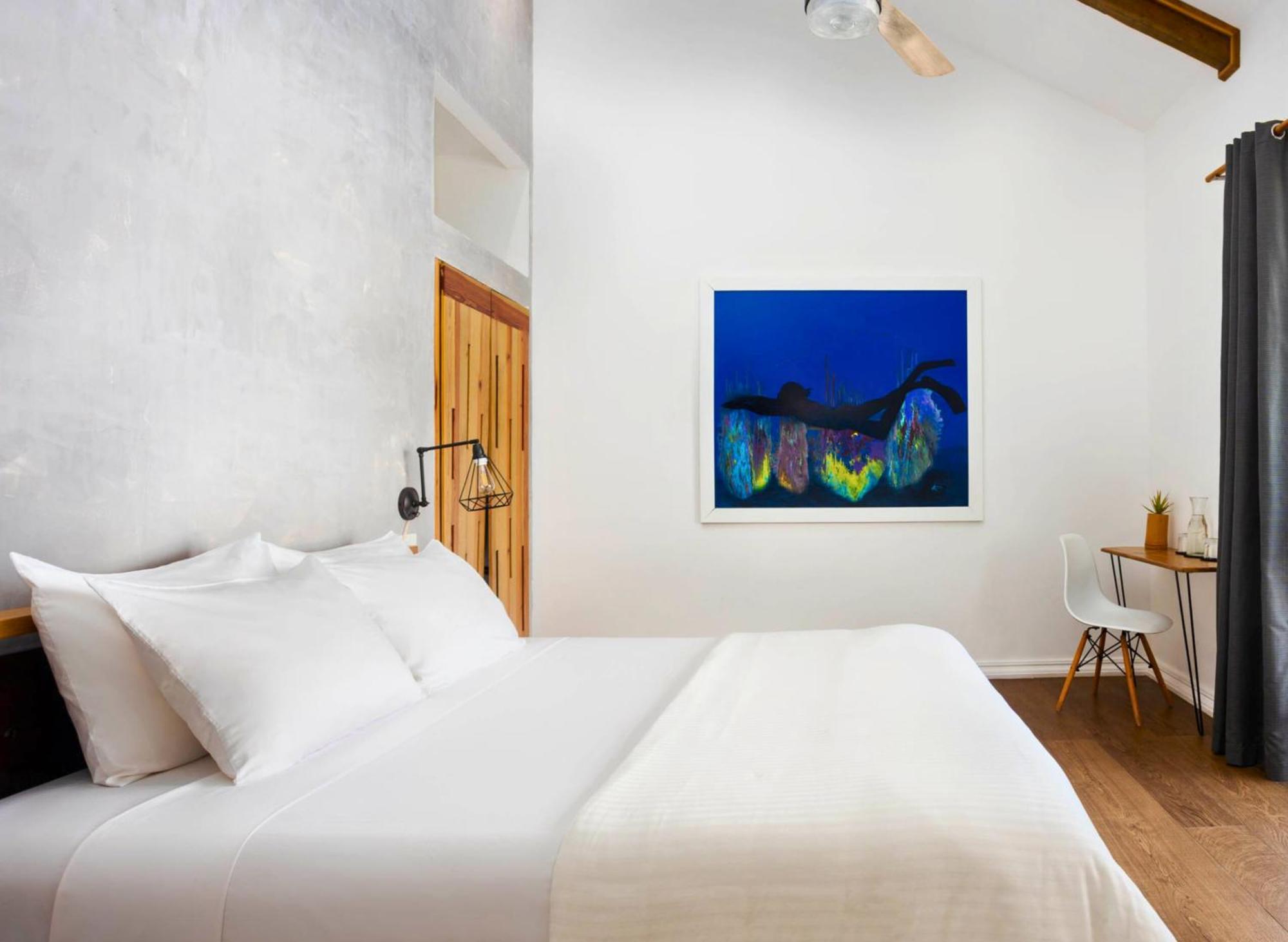 Divers Paradise Boutique Hotel Bocas del Toro Pokój zdjęcie